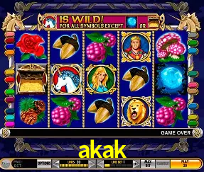 VIP Casino akak